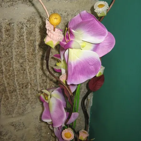 Gæstehus Casais
