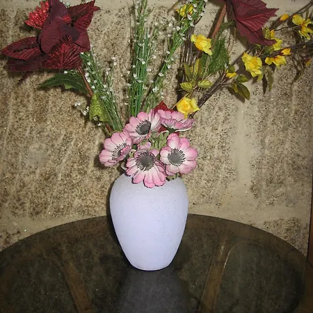 Casais بيت ضيافة فيجو